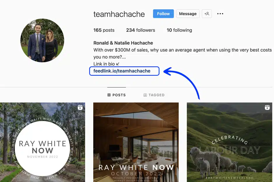 link in bio on Instagram for real-estate