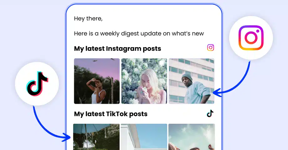 tiktok and instagram newsletter