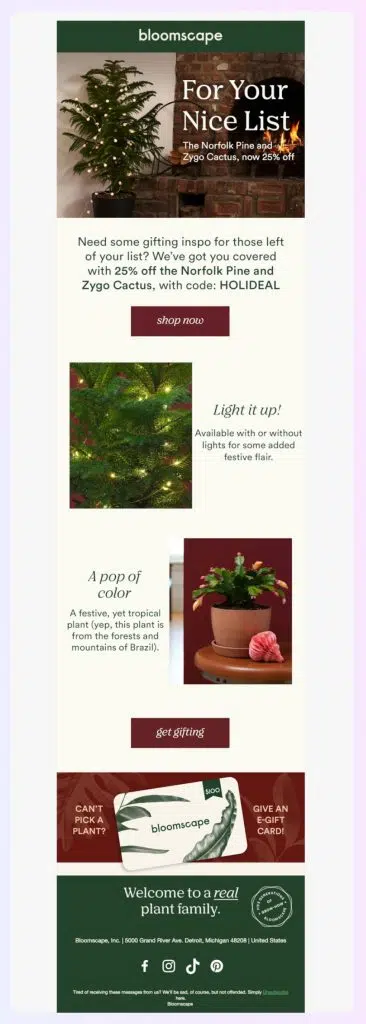 Bloomscape holiday newsletter offering deals