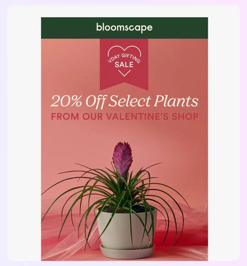 Newsletter de Bloomscape con una promoción especial