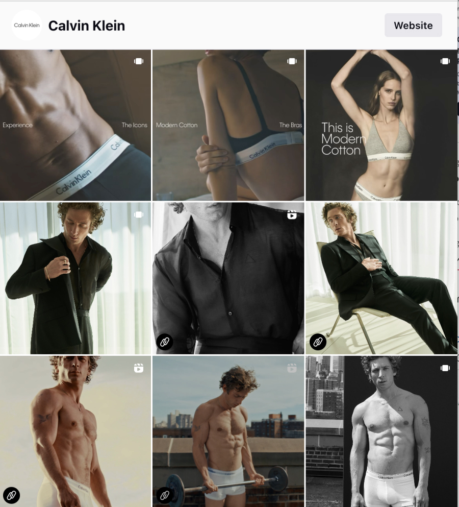 Example of the Calvin Klein link in bio shop