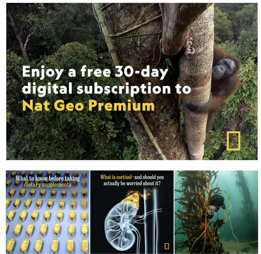National Geographic link-in-bio store
