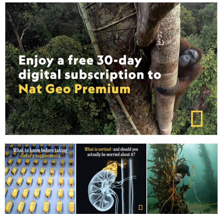Tienda con enlace en biografía de National Geographic