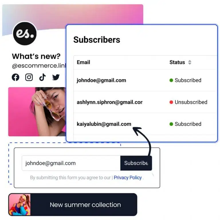 email subscription block